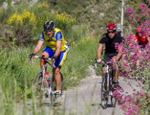 IMG 1722 : Mont Chauve 17 05 2015