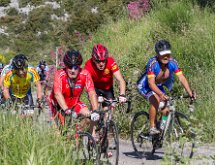 IMG 1729 : Mont Chauve 17 05 2015