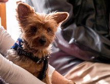 P1030748 : 27/01/2018, Gateau des Rois, Remise des prix