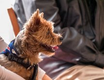 P1030749 : 27/01/2018, Gateau des Rois, Remise des prix